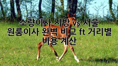 소량이사🚚 지방 vs 서울 원룸이사 완벽 비교 (ft. 거리별 비용 계산)