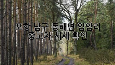 포항 남구 동해면 입암리 중고차 시세 확인
